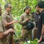 हल्द्वानी में बाघ के युवक को उठा ले जाने की अफवाह से मचा हड़कंप, वन विभाग ने किया खंडन